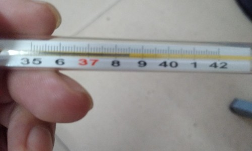 麻姜胶囊治什么病最好-麻姜图片-专业麻豇平台-麻姜的功能主治